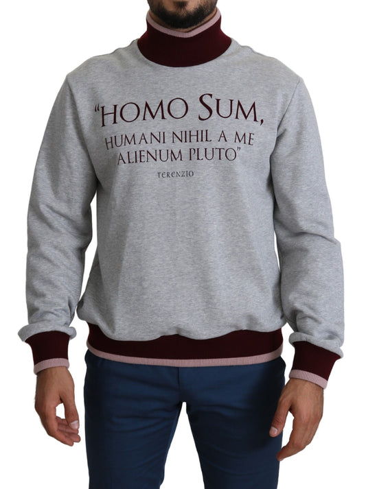 Grauer Homo Sum Rollkragenpullover Pullover